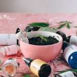 Семена конопли Mazar feminised от Breeders Community Seeds image_81.jpg