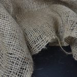 Покупка семян конопли в Москве: руководство и советы image_86.jpg