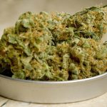 Семена конопли Mango Skunk от Nirvana Seeds images187.jpg