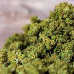 Преимущества и особенности выращивания карликовой марихуаны images318.jpg