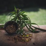 Семена конопли Super Skunk regular от Ganja Seeds images38.jpg