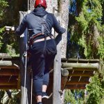 Семена конопли в Барнауле полезные свойства и применение images434.jpg