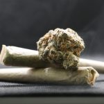 Магазин семян конопли где купить и на что обратить внимание images66.jpg